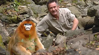 Sur les monts Qinling