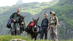 Visuel de Sur la piste des papillons géants