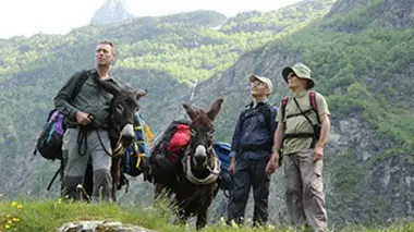 Sur la piste des papillons géants