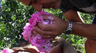 Attar, un goût de parfum sacré