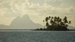 Sur la piste des senteurs