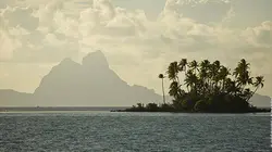 Sur la piste des senteurs