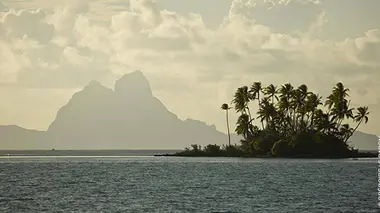 Polynésie : le filtre d'amour parfumé