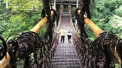 Sur la piste des senteurs