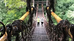 Sur la piste des senteurs