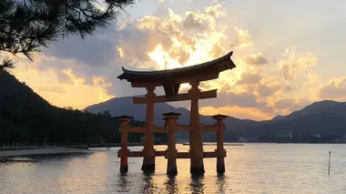 Sur la piste des senteurs S02E02 Japon d'Hiroshima à Yakushima