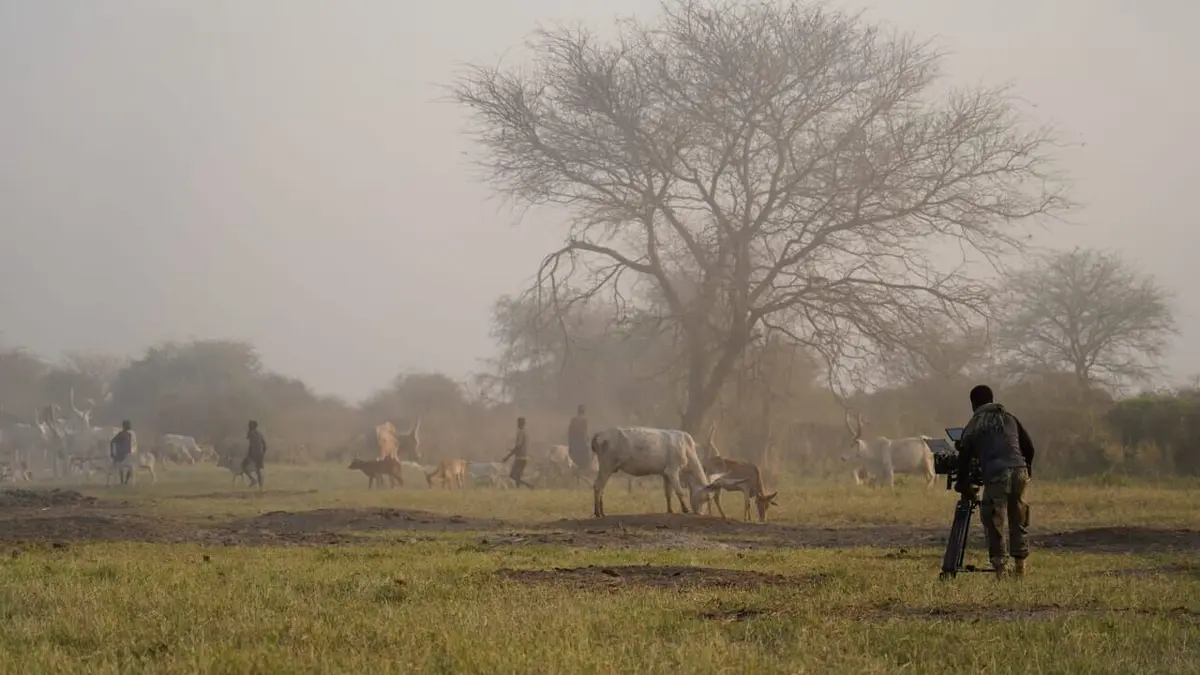 Sur la piste du dernier rhinocéros blanc