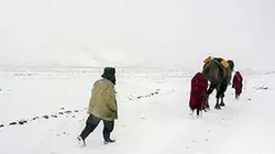 Visuel de Sur la route de la soie