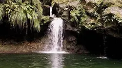 Visuel de Sur la route des cascades de Guadeloupe