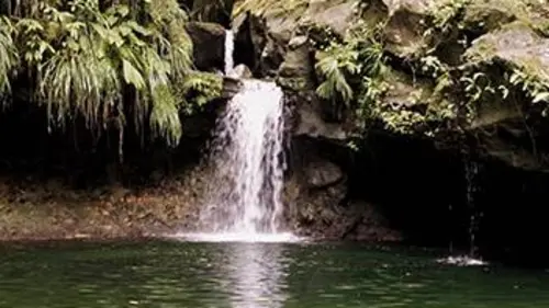 Sur la route des cascades de Guadeloupe