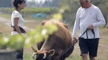 Nouvelle-Zélande, les terroirs du bout du monde