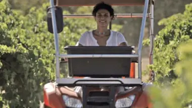 Australie du Sud, les raisins du soleil