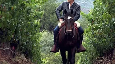 Chili, les maîtres du bout du monde