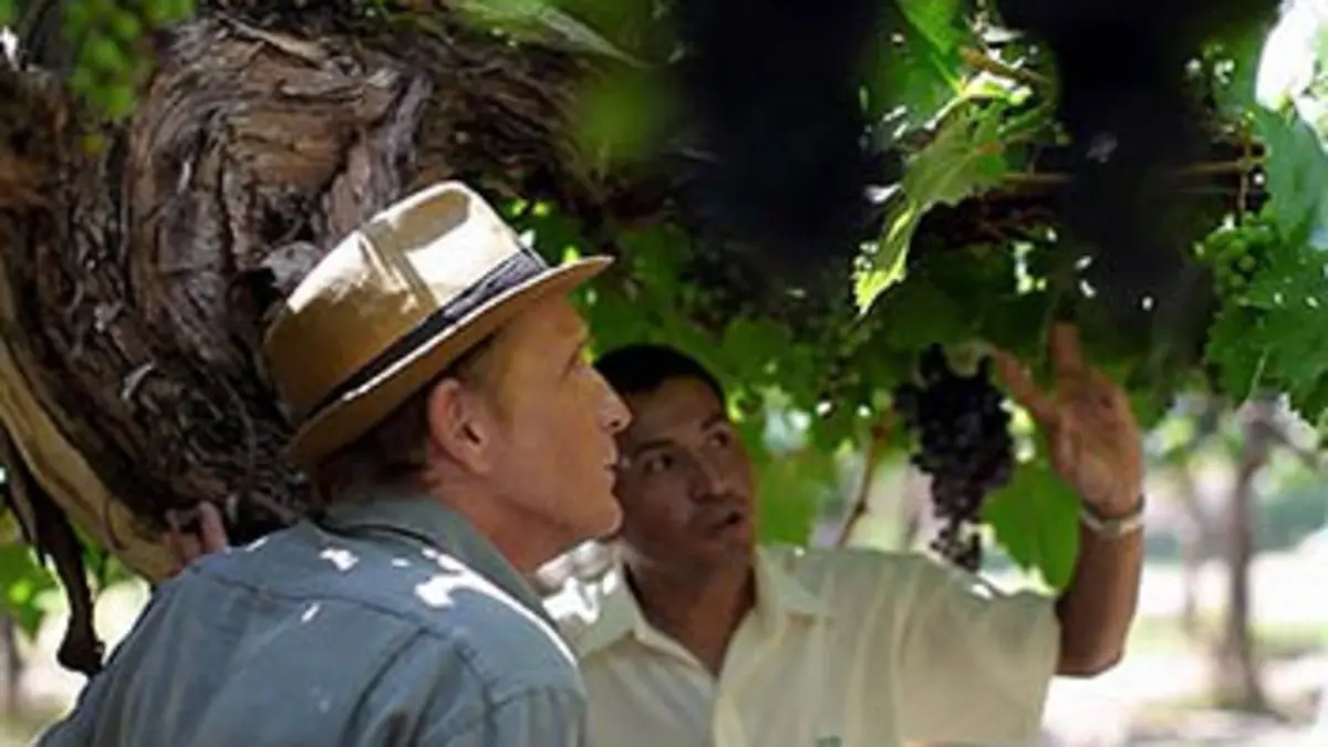 Sur la route des vins Argentine, le désert rouge