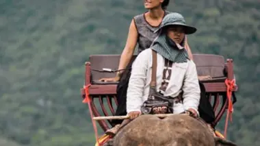 Thaïlande, des vignes dans les rizières
