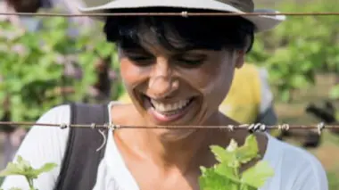 Inde, du vin au pays des épices