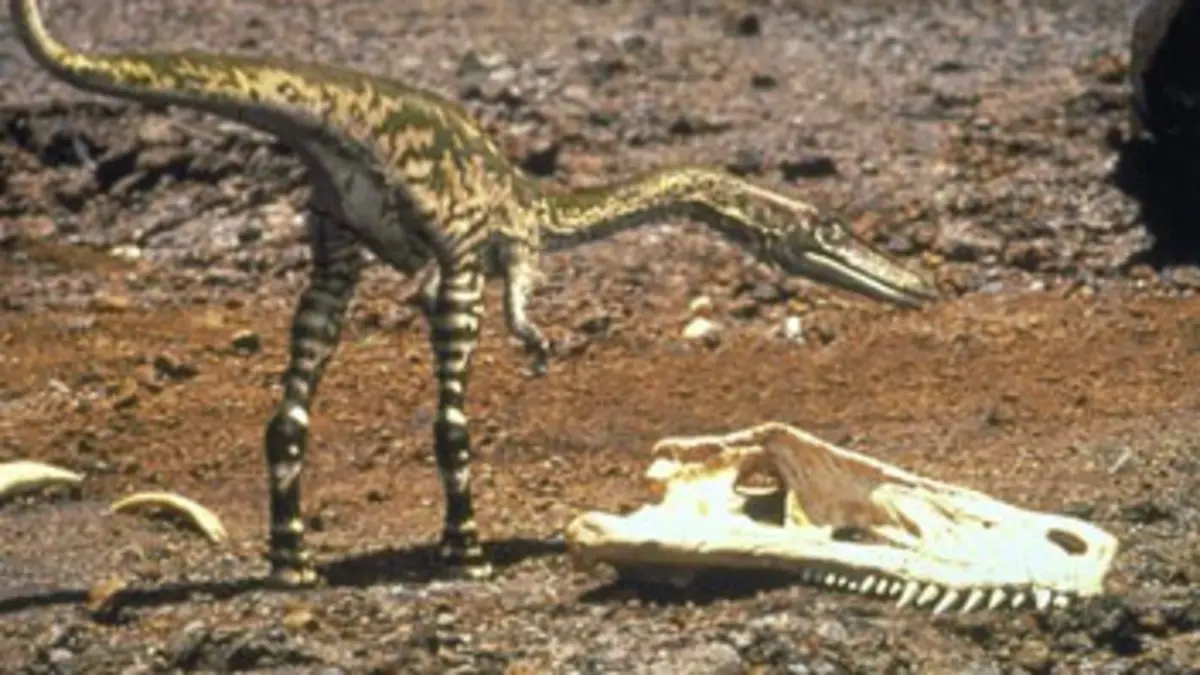 Sur la terre des dinosaures E01 Une nouvelle dynastie
