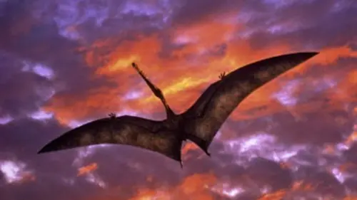 Sur la terre des dinosaures E04 Les maîtres du ciel