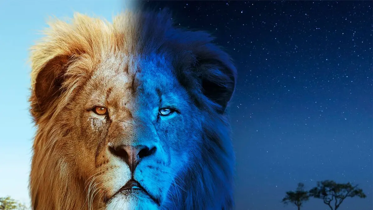 Audiences TV : Sur la terre des grands félins