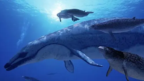 Sur la terre des monstres disparus