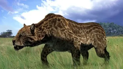 Sur la terre des monstres disparus E04 Lointains ancêtres