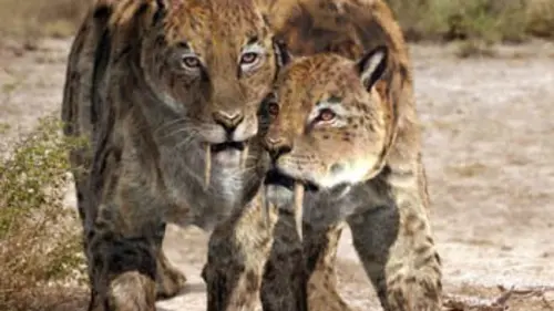 Sur la terre des monstres disparus E05 Dent de sabre