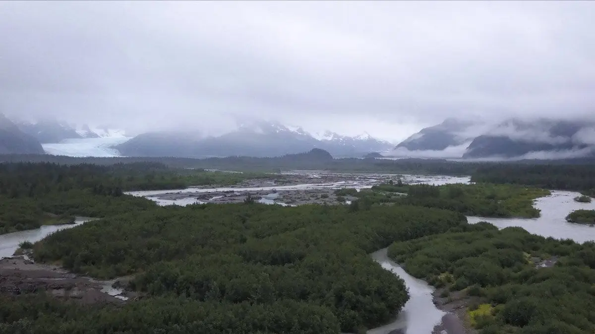 Sur le bout de la langue