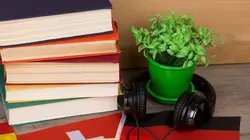 Sur le bout des langues