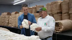 Sur le front Coton, laine : la face cachée de nos matières naturelles