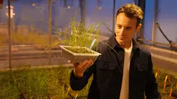 Programme ce soir sur France 5