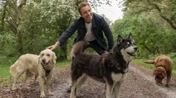 Sur le front D'où viennent les chiens à la mode ?