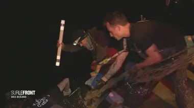 Sauver les tout derniers vaquitas