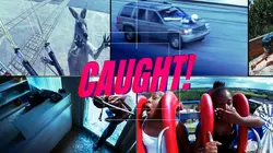 Sur le vif : vidéos insolites  Désastres ambulants