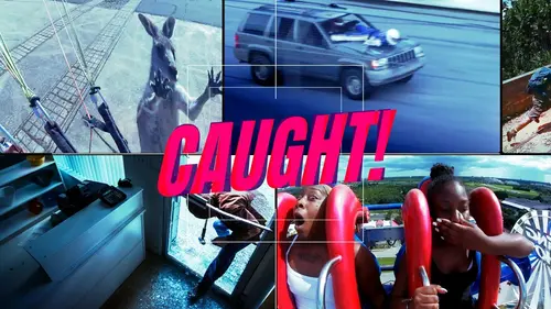 Sur le vif : vidéos insolites Désastres ambulants