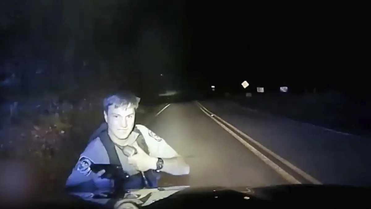 Sur le vif : vidéos insolites Instinct de survie