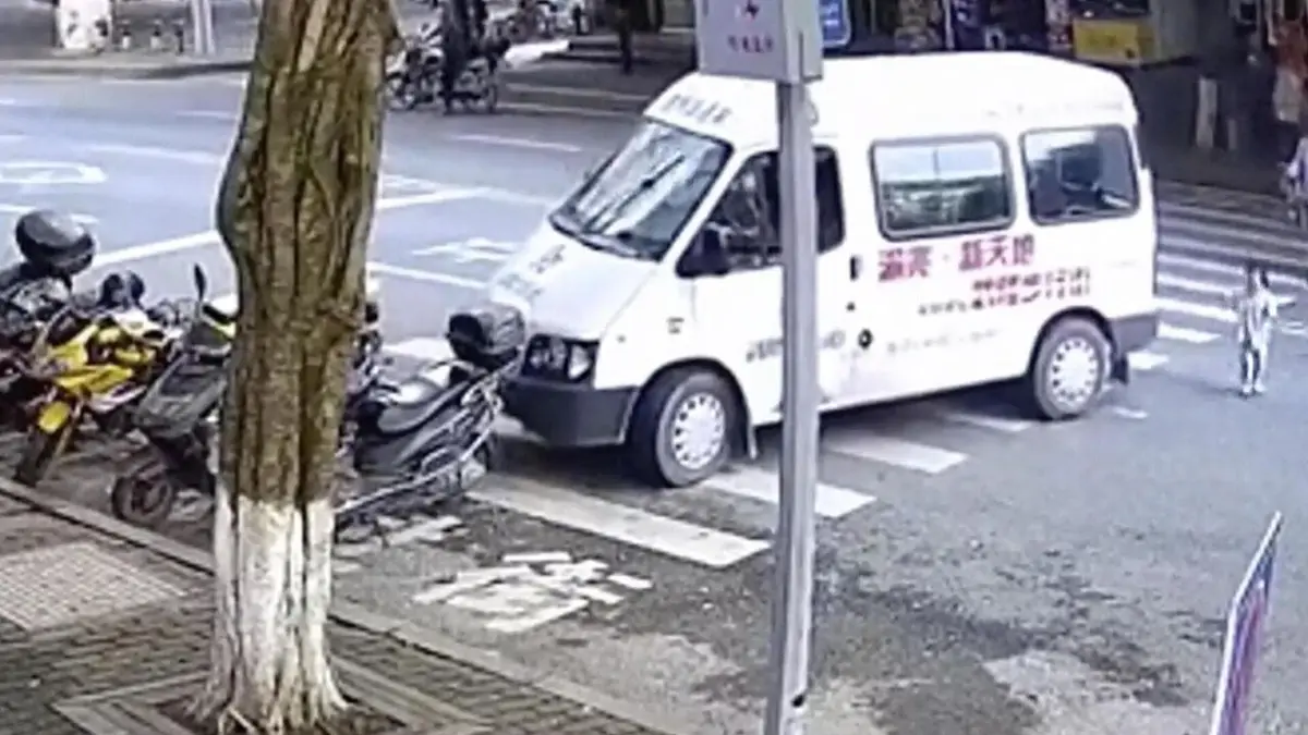 Sur le vif : vidéos insolites À quelques secondes du désastre