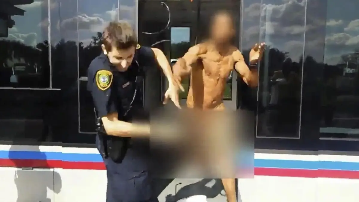Sur le vif : vidéos insolites Tasers en poche