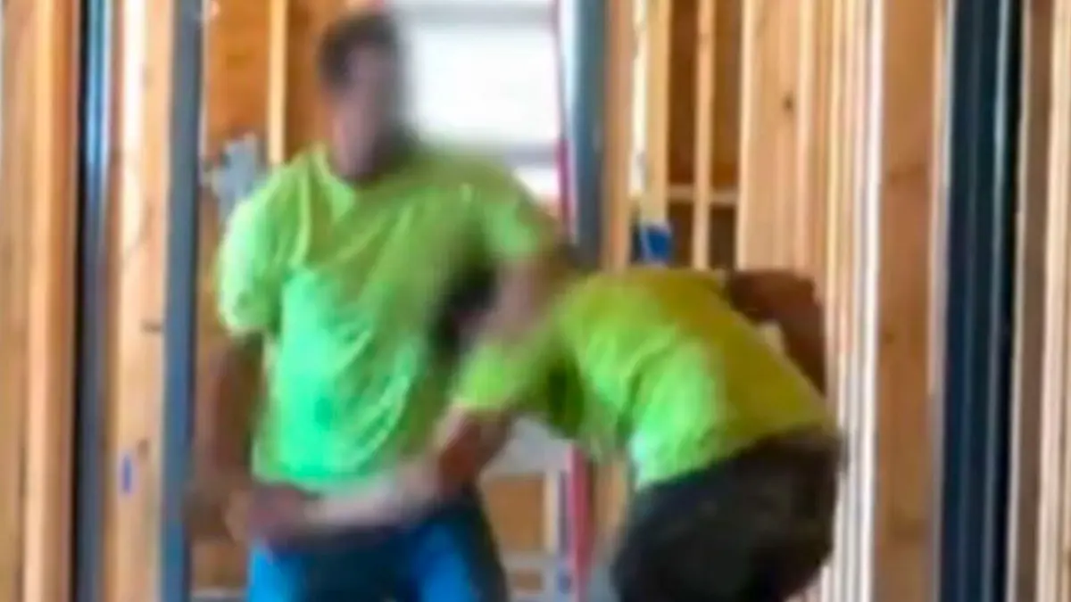 Sur le vif : vidéos insolites Les risques du métier