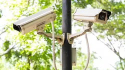 Sur le vif : vidéos insolites