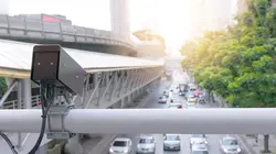 Sur le vif : vidéos insolites