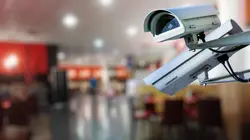 Sur le vif : vidéos insolites