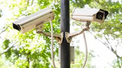 Sur le vif : vidéos insolites