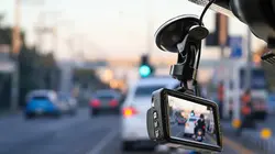 Sur le vif : vidéos insolites