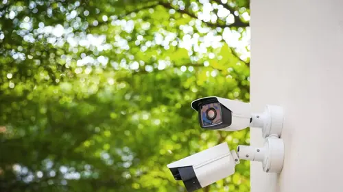 Sur le vif : vidéos insolites Vacances chaotiques