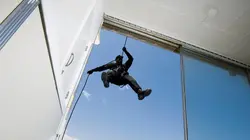 Sur Discovery Channel à 22h30 : Sur le vif : vidéos insolites