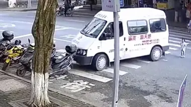 Sur le vif : vidéos insolites À quelques secondes du désastre