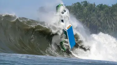 Sur le vif : vidéos insolites Chasse en mer