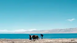 Sur les contreforts de l'Himalaya