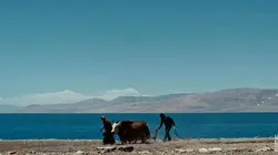 Sur les contreforts de l'Himalaya