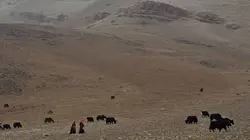 Sur les contreforts de l'Himalaya